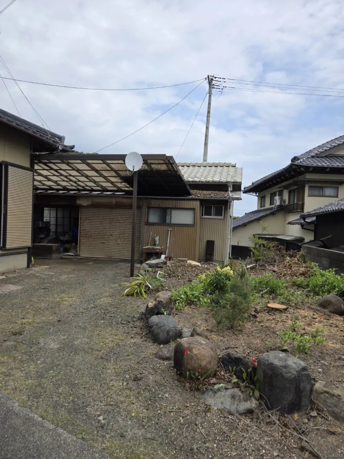 須賀川市でテラス屋根に被さるモチノキを特殊伐採！重機なしでも安全に枝を下ろす方法 - After