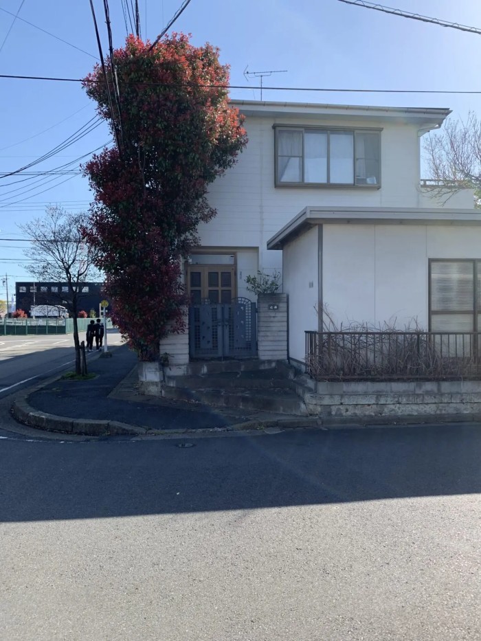 須賀川市で電線にかかったカナメモチを安全伐採｜住宅横の高木を段階的に解体した作業事例 - Before